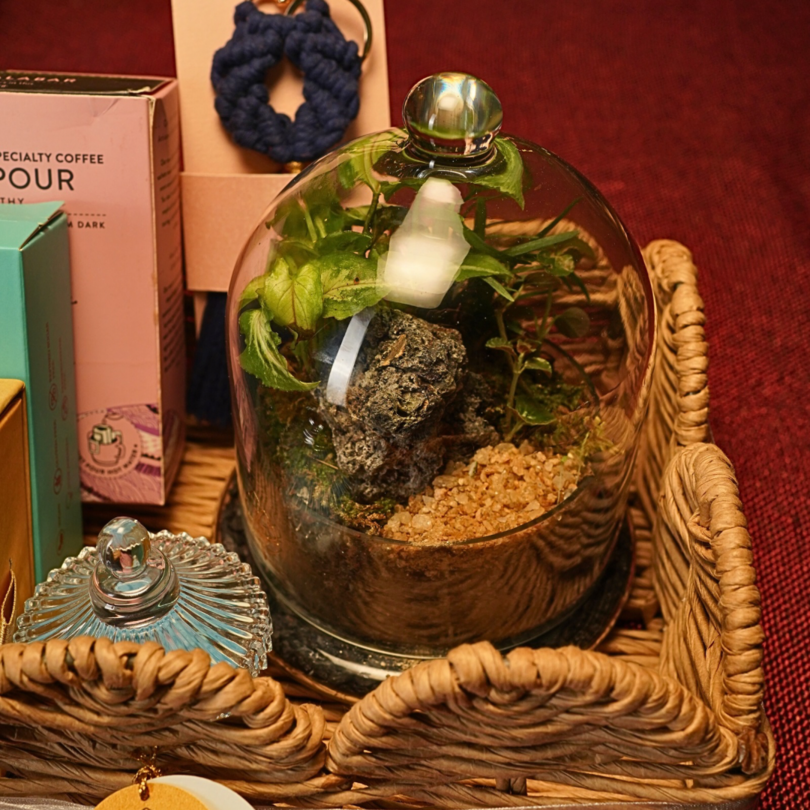 Festive Gift Basket 5.0