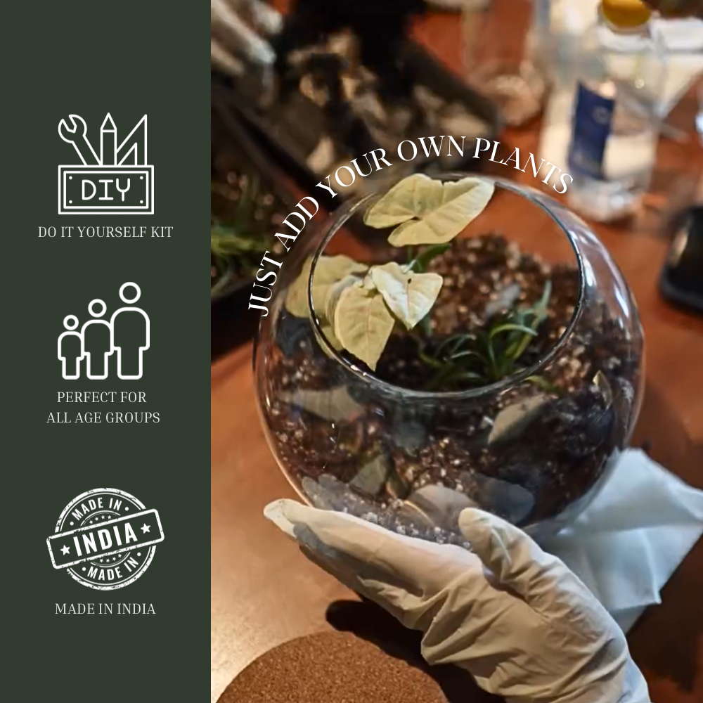 DIY Terrarium Kit Without Plants