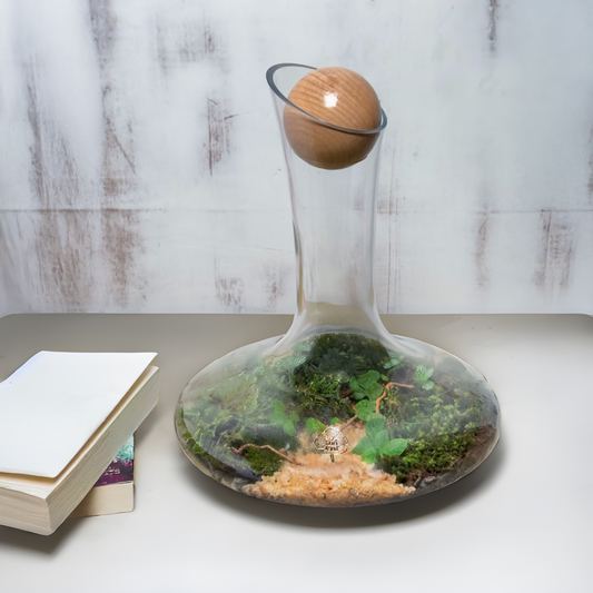 The Moss Garden Terrarium