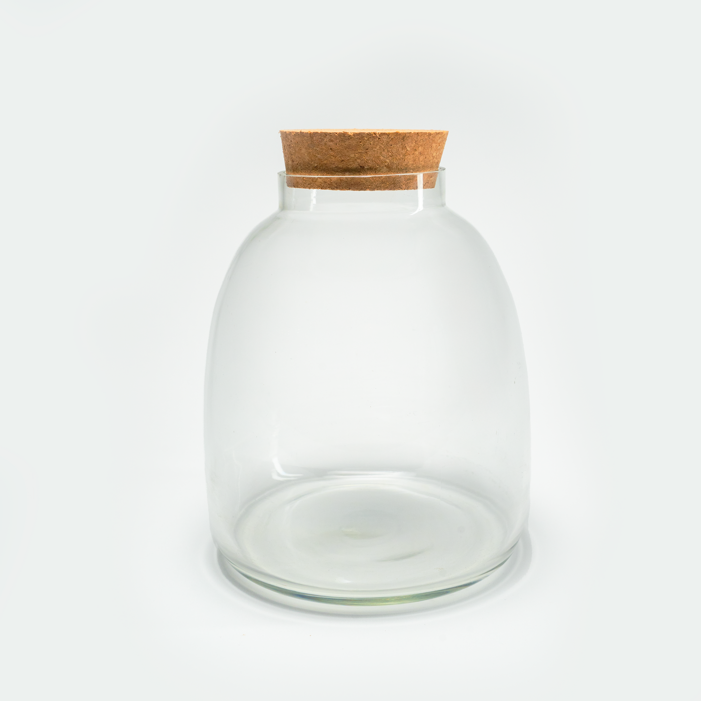 Terrarium Container