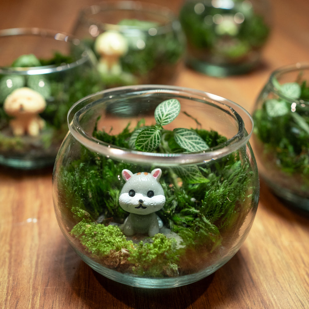 Terrarium miniatures bythelaf