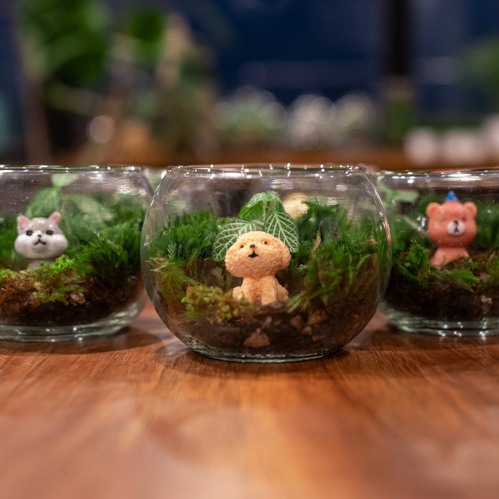 Bytheleaf terrarium