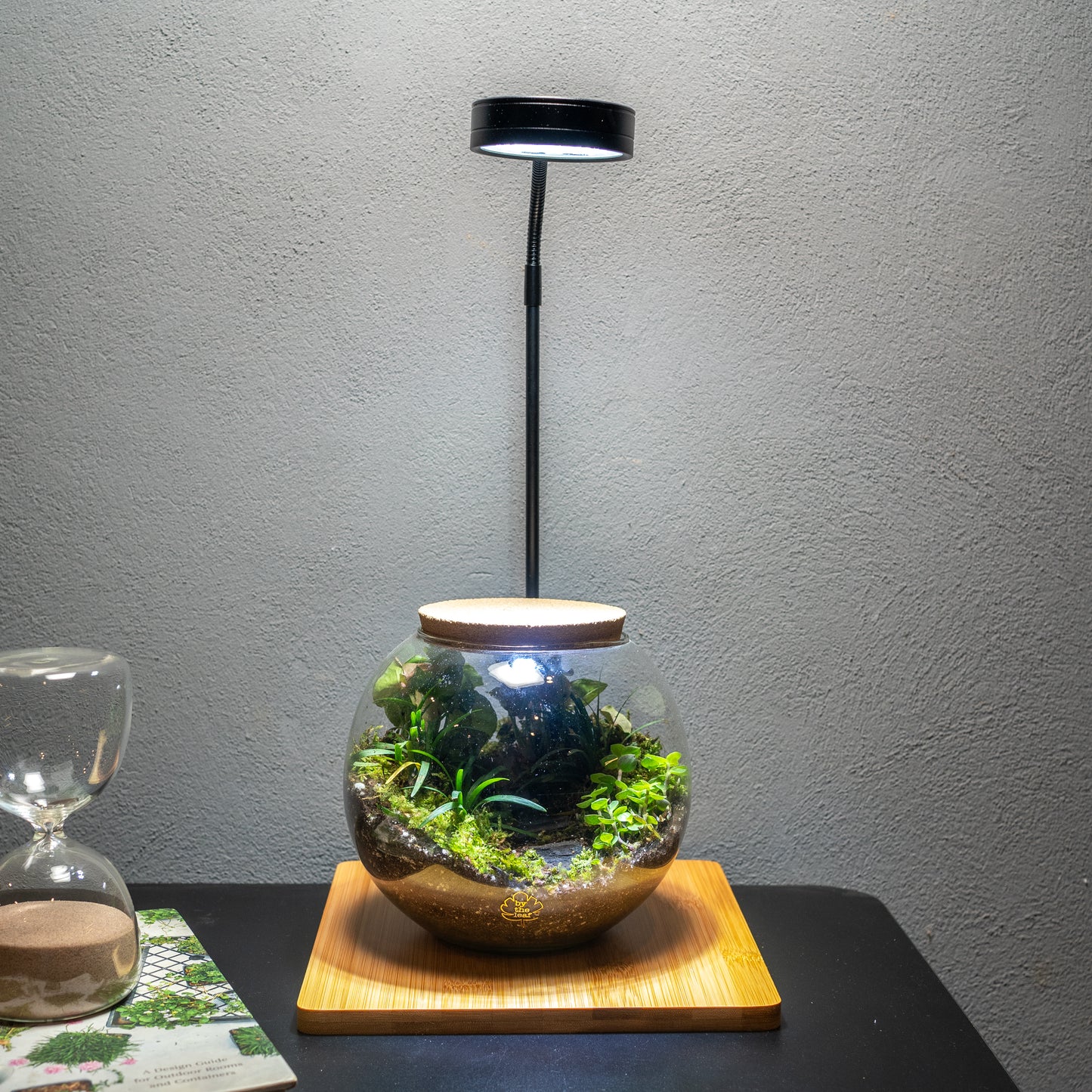 Terrarium Light With Wooden Base