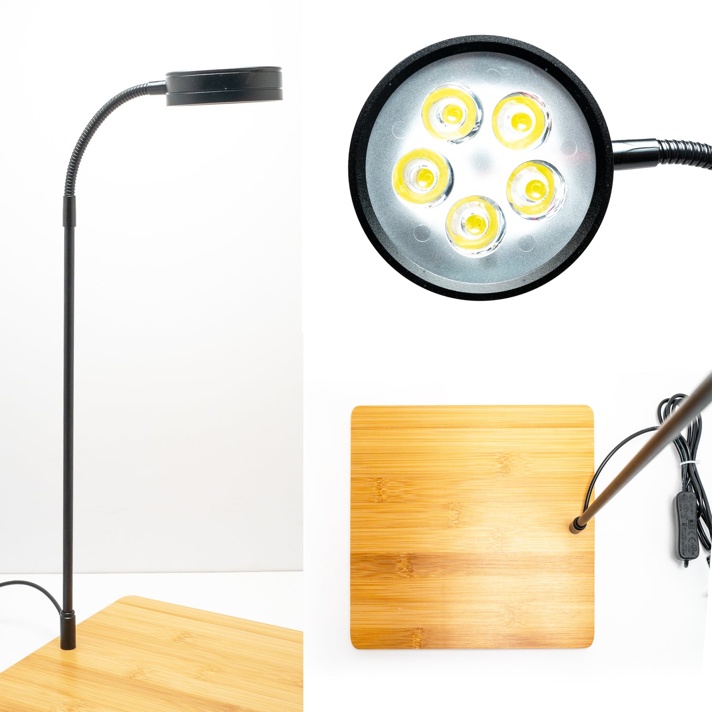 Terrarium Light With Wooden Base