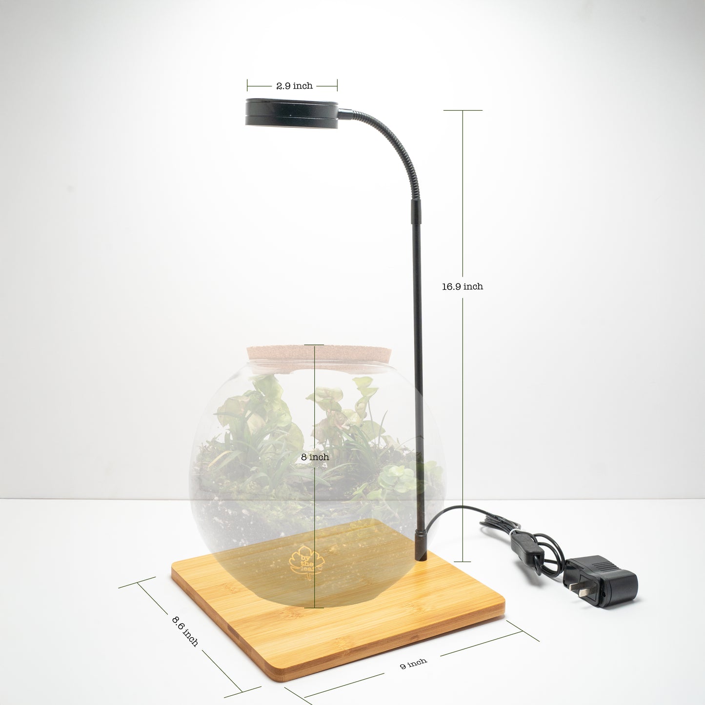 Terrarium Light With Wooden Base
