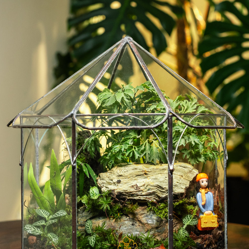 A Place Called Solitude Terrarium