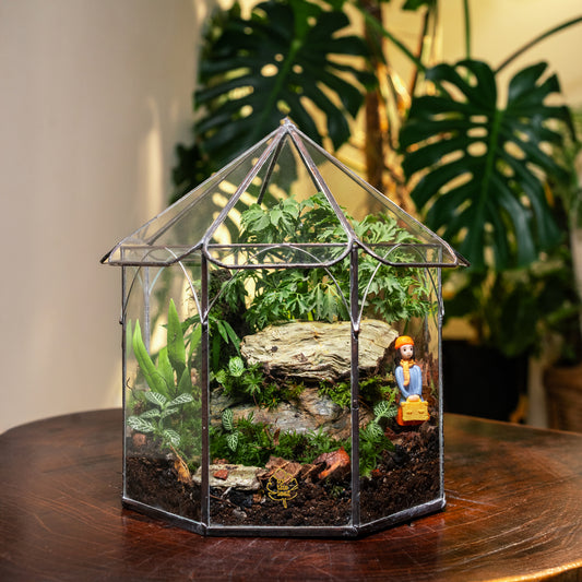 Hut terrarium