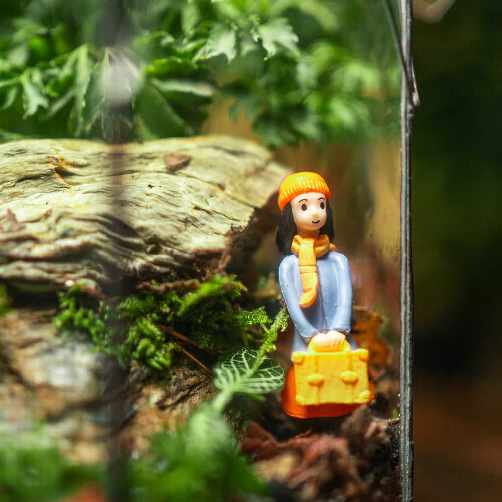 A Place Called Solitude Terrarium
