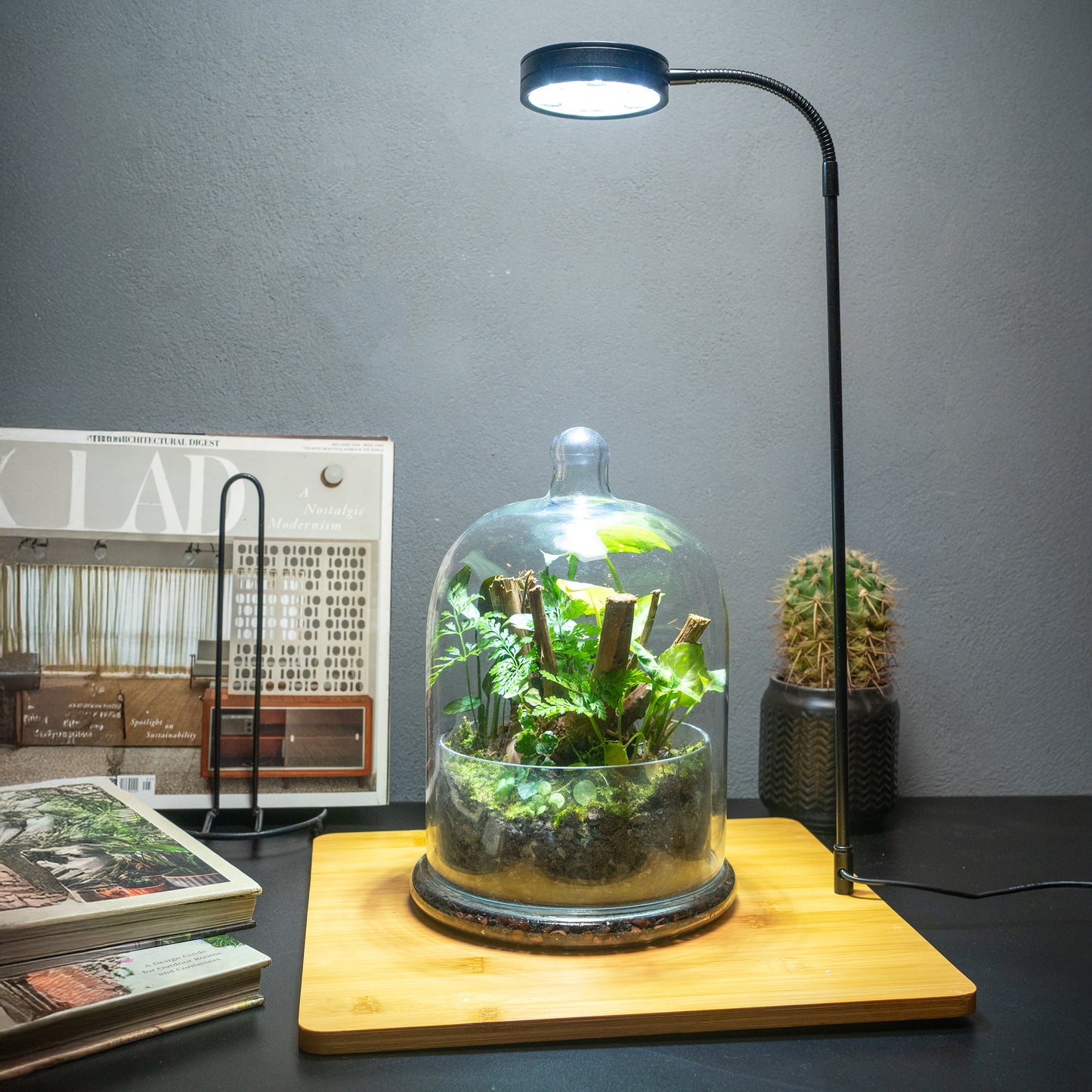 Terrarium Light With Wooden Base