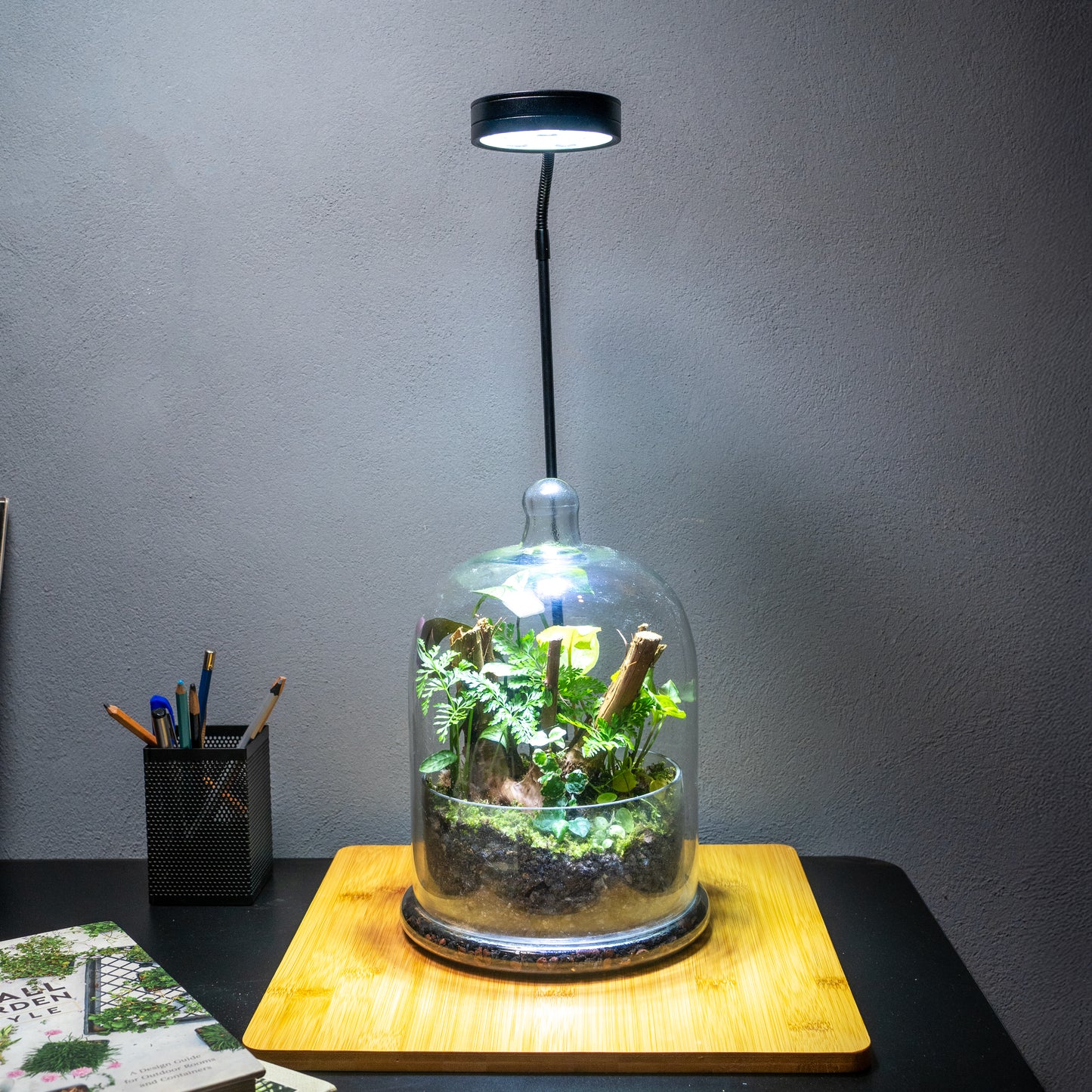 Terrarium Light With Wooden Base