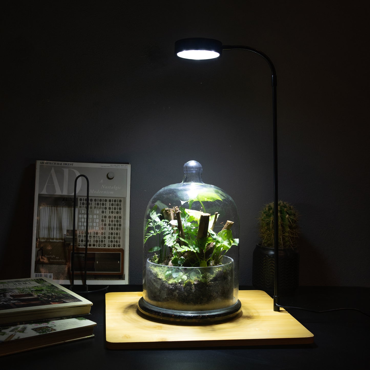 Terrarium Light With Wooden Base