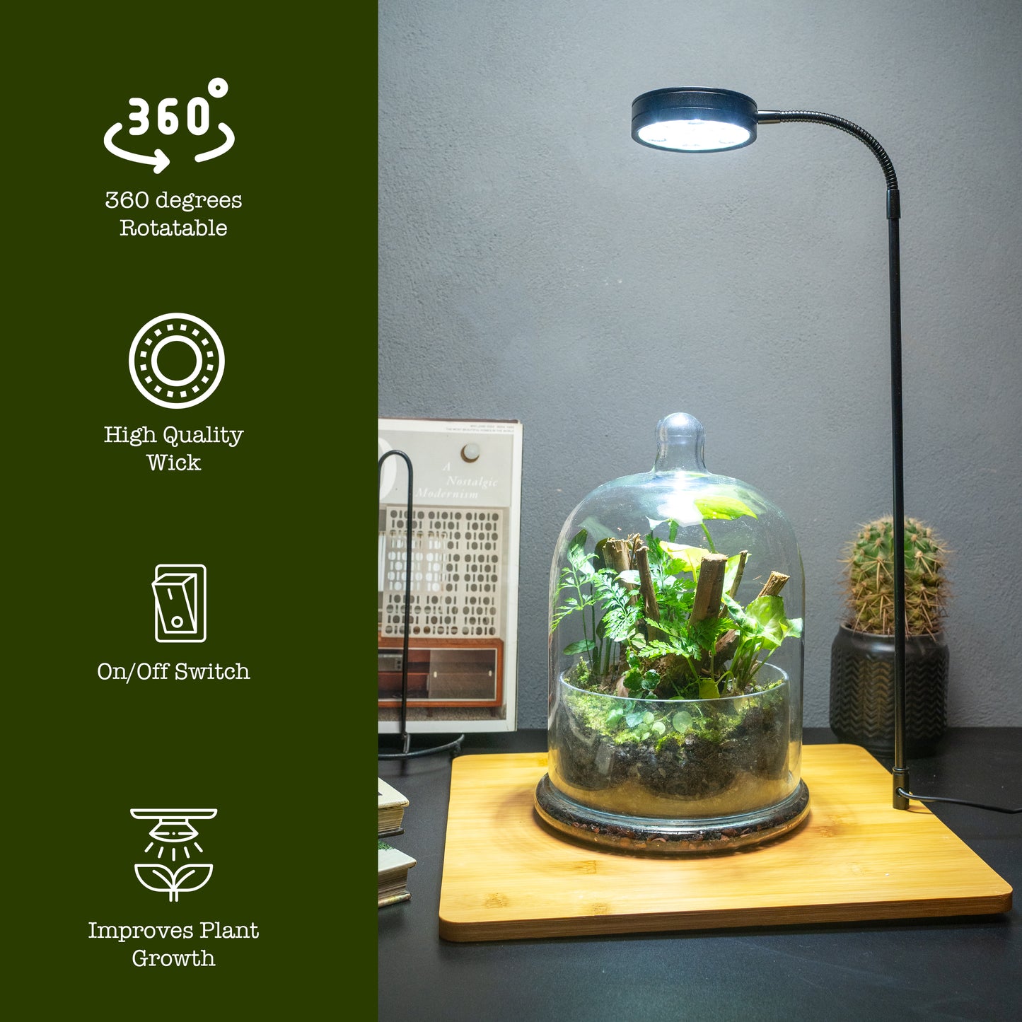 Terrarium Light With Wooden Base
