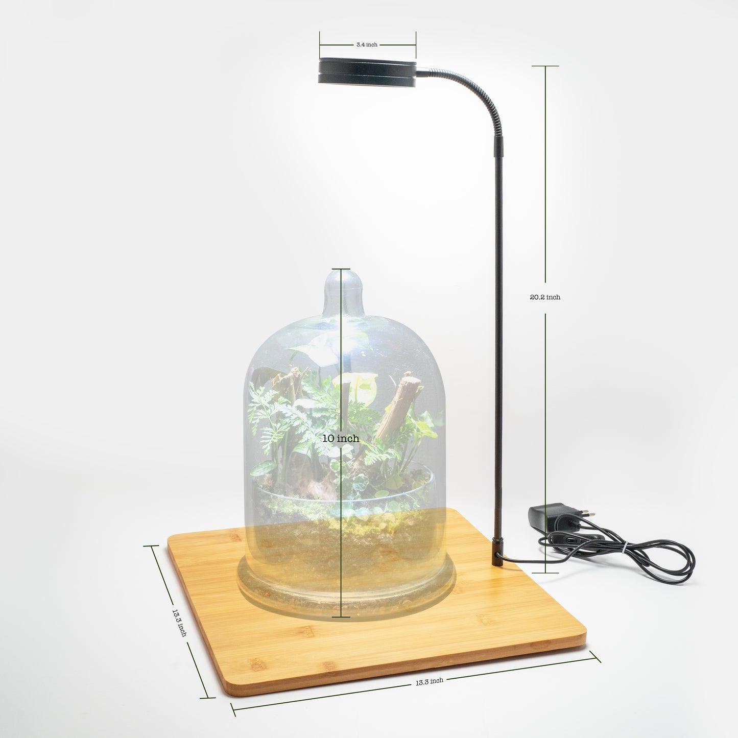 Terrarium Light With Wooden Base