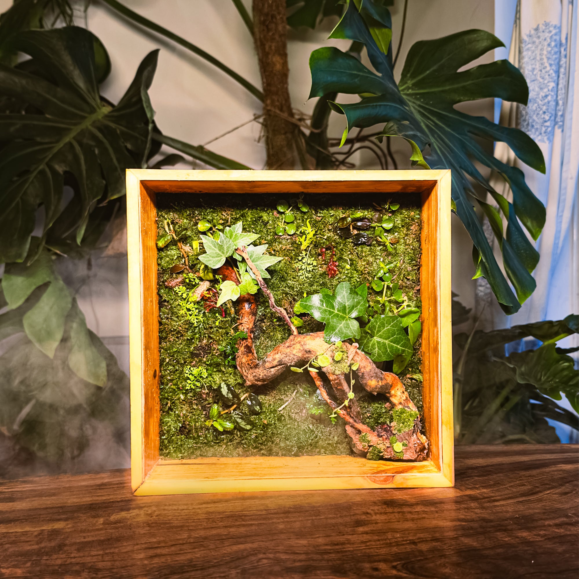 DIY Terrarium Kit – bytheleaf