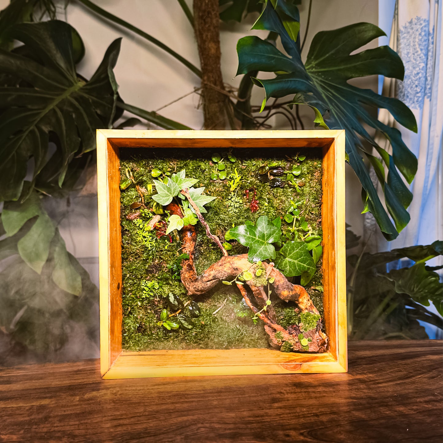 Rainforest On The Wall Terrarium