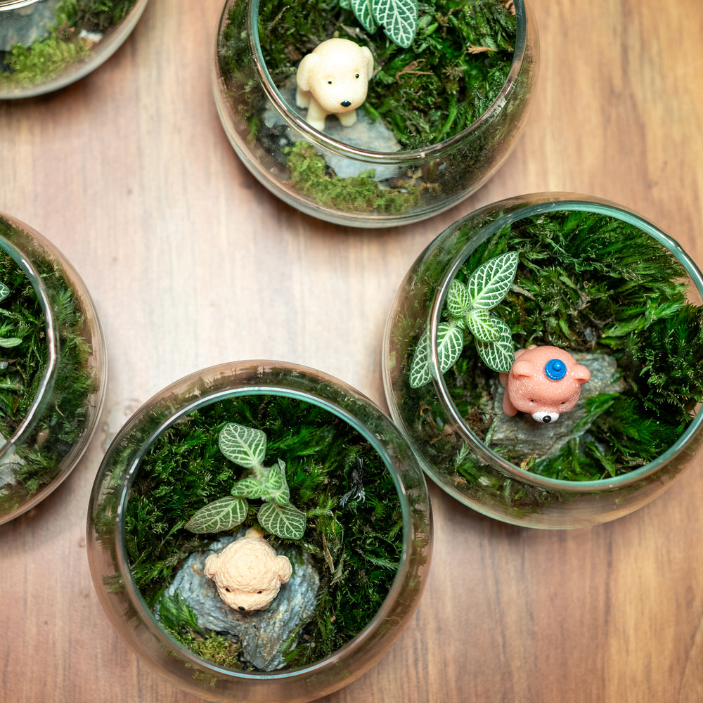 Terrarium with miniatures bytheleaf