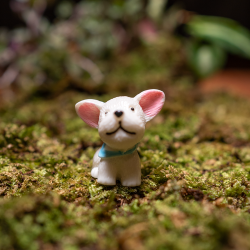 ByTheLeaf Dog Miniatures for Terrariums & Gardens- Set of 5