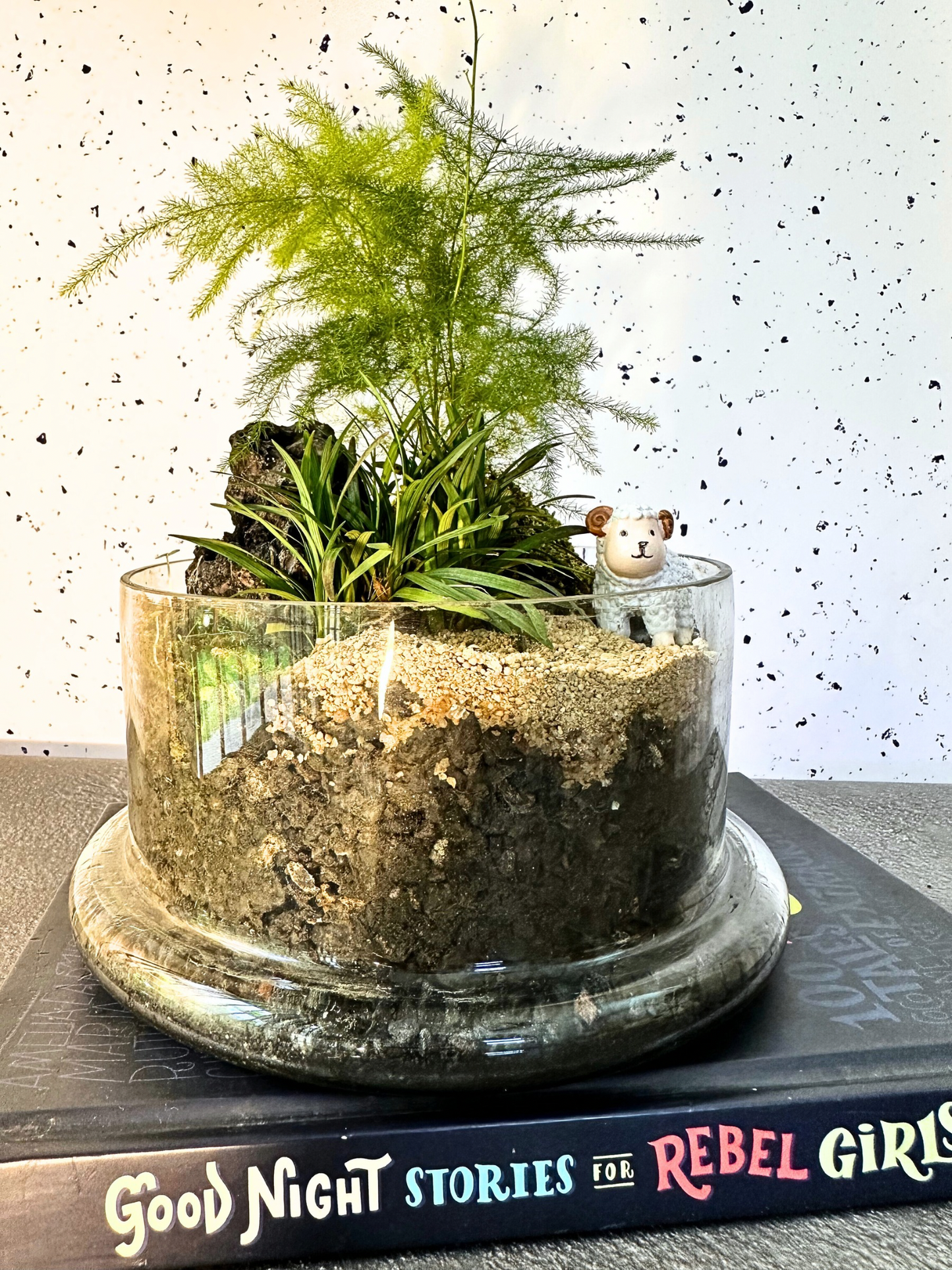 Terrariums for kids