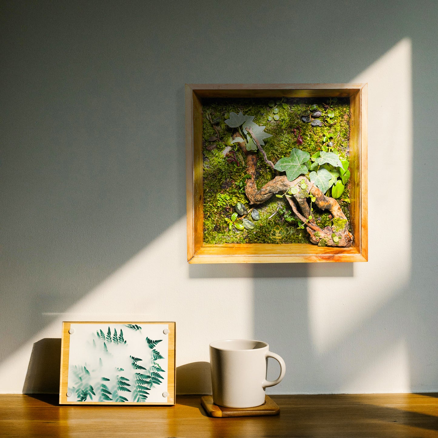 Rainforest On The Wall Terrarium