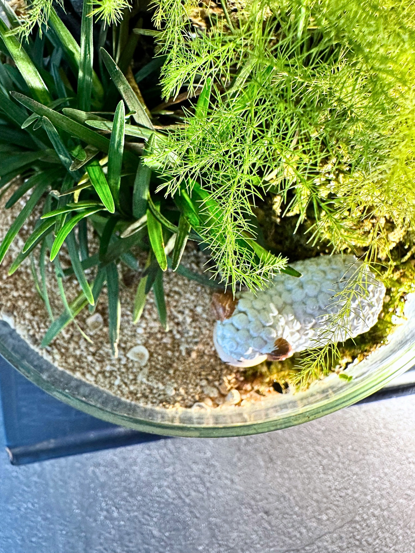 Terrarium decor for kids room