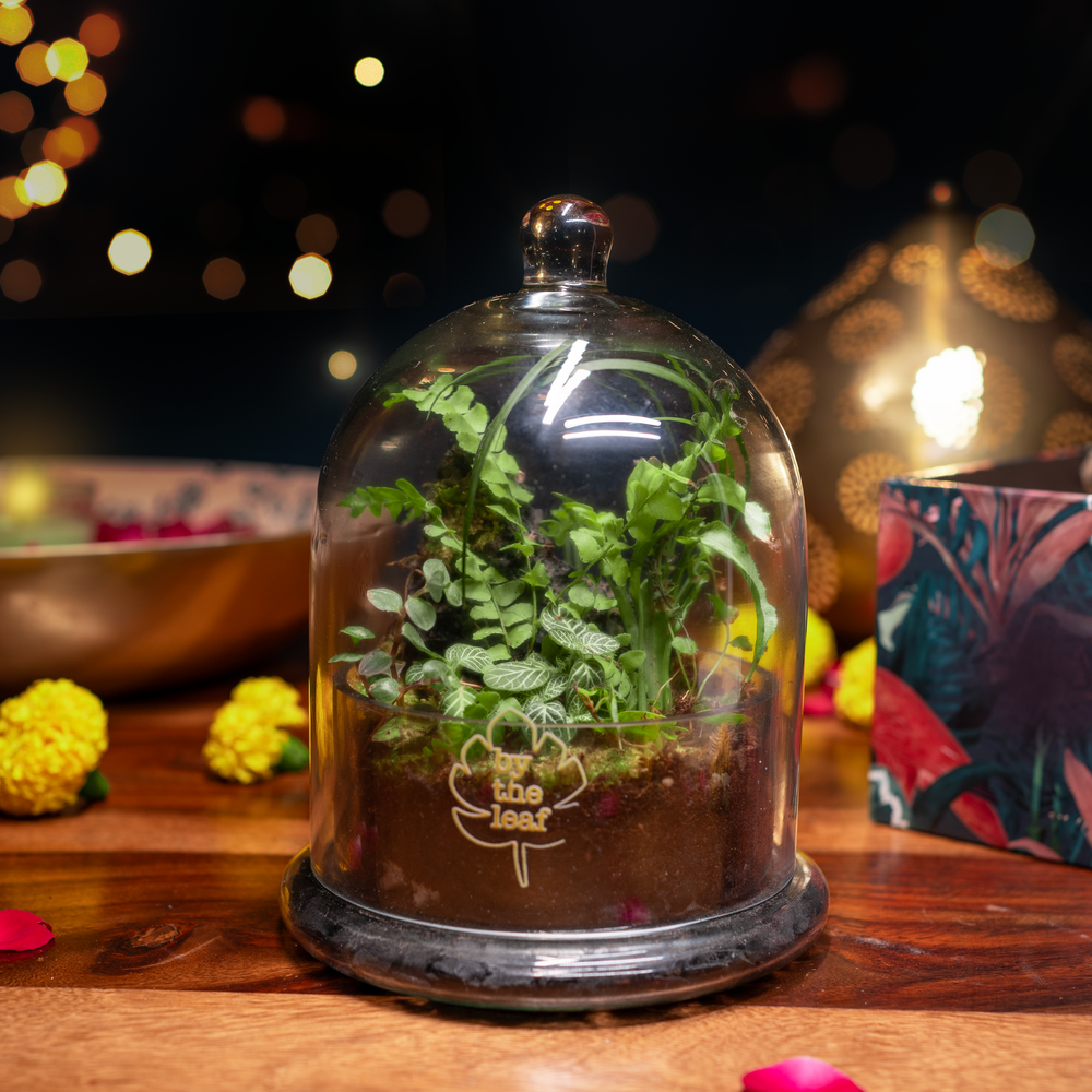 Festive Gift Basket 1.0
