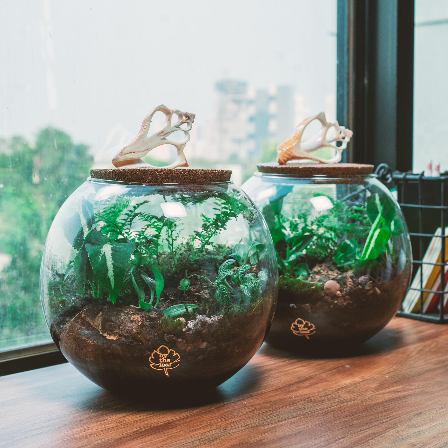 Between The Barks Terrarium