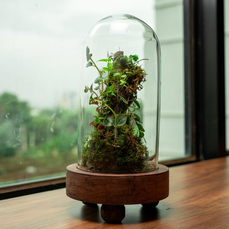 Sustainable gift ideas bytheleaf