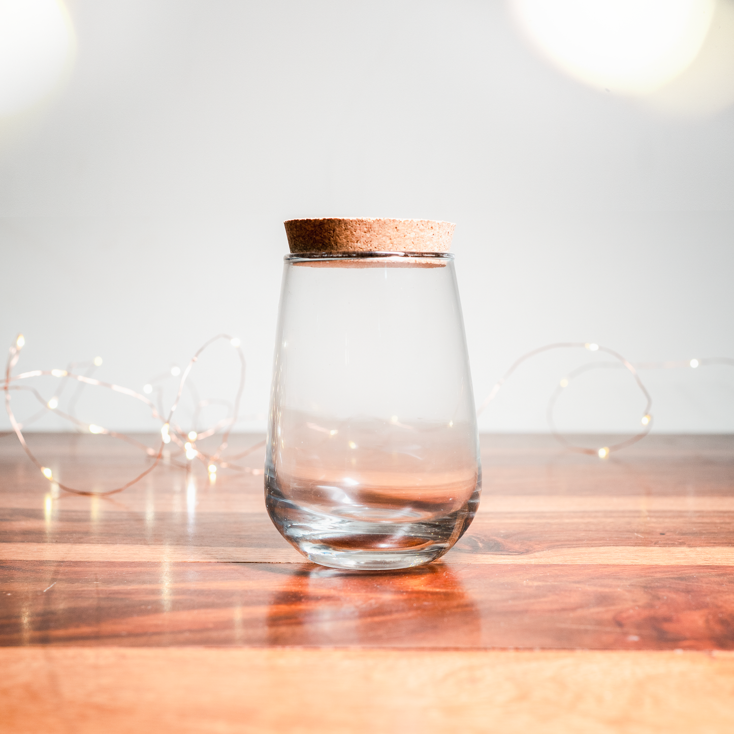 Buy DIY Terrarium Kit India