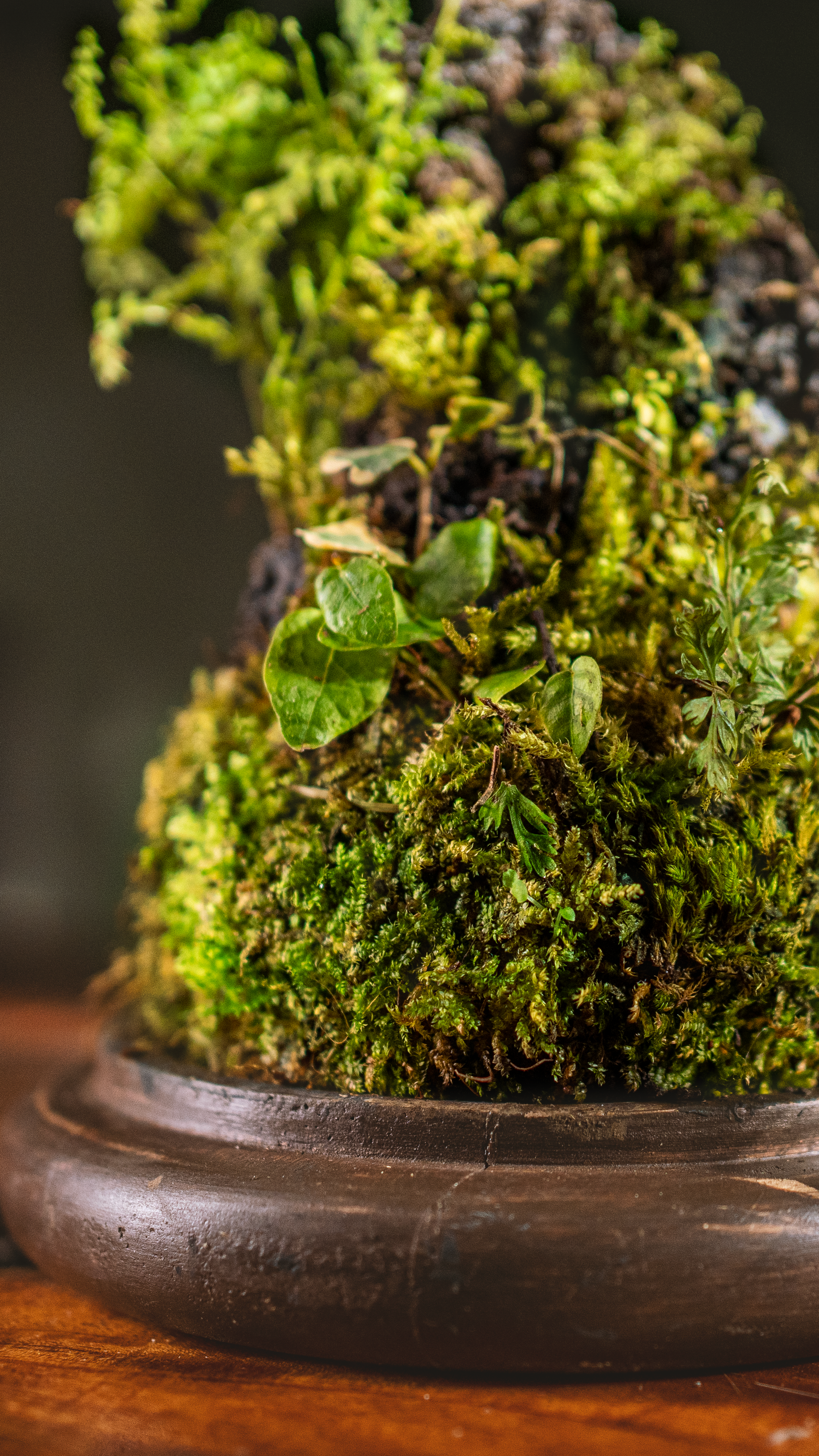 Green Gifts Terrariums