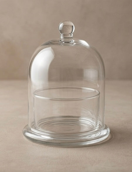 The Cloche Terrarium Container-
 Medium