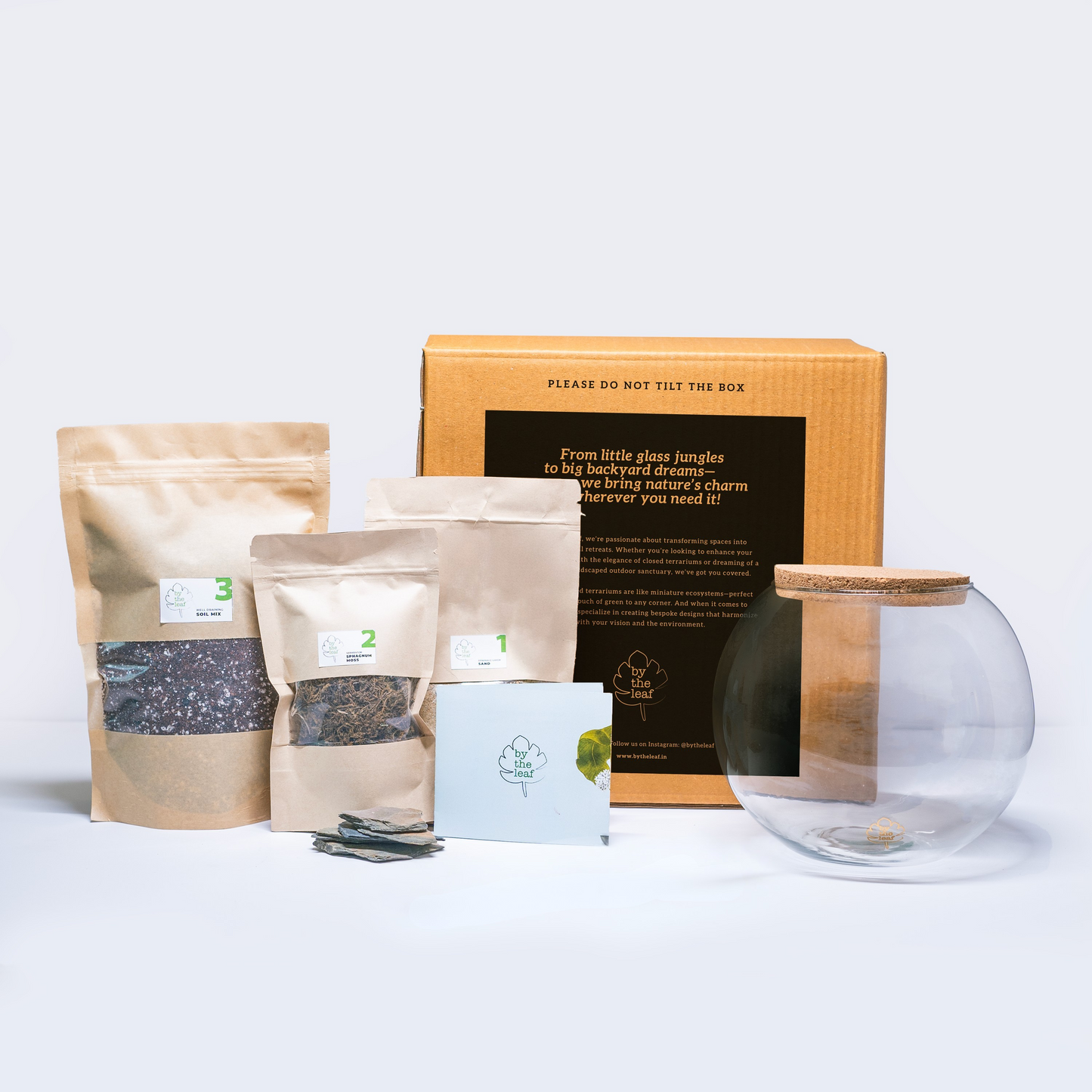 DIY Terrarium Kit Without Plants