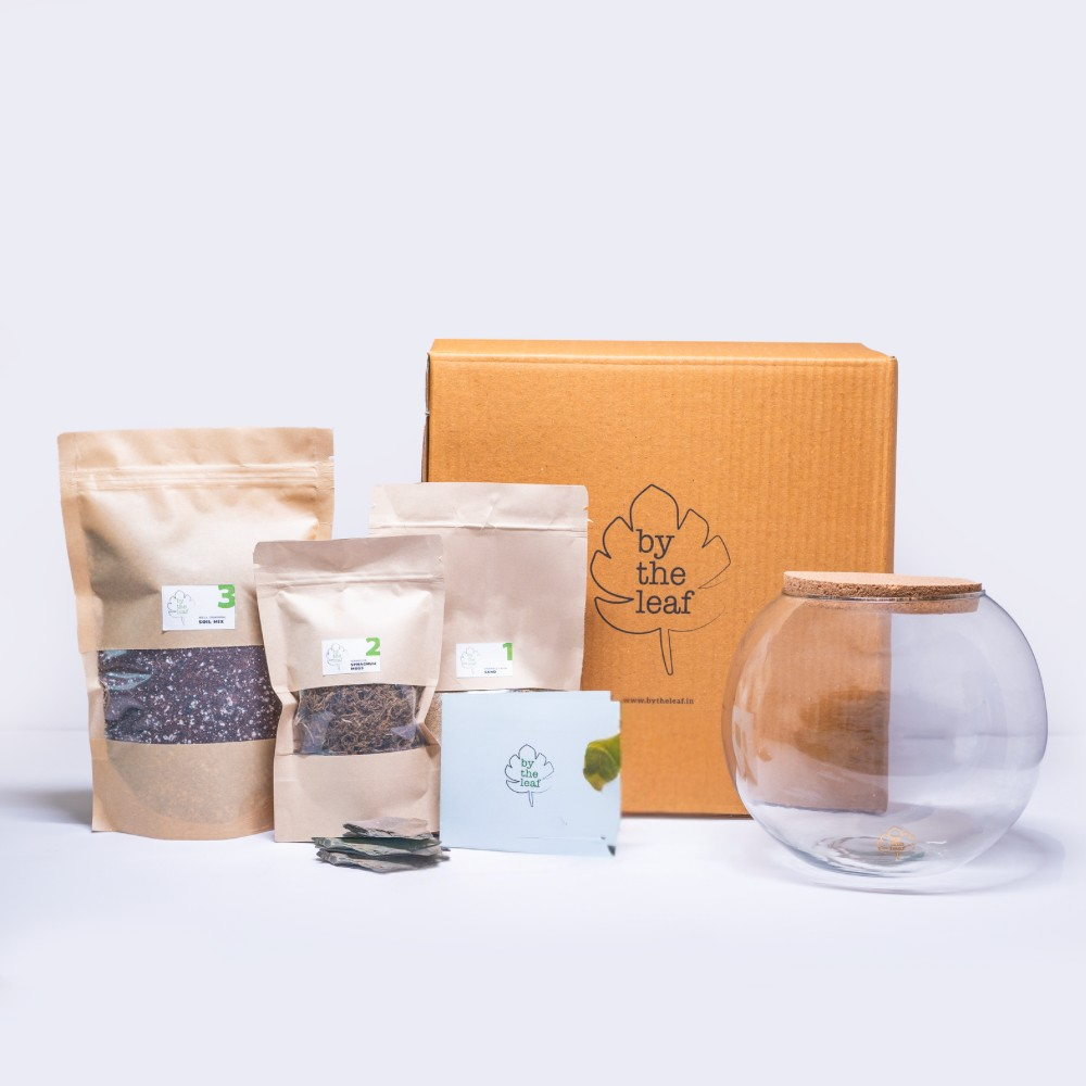 DIY Terrarium Kit Without Plants