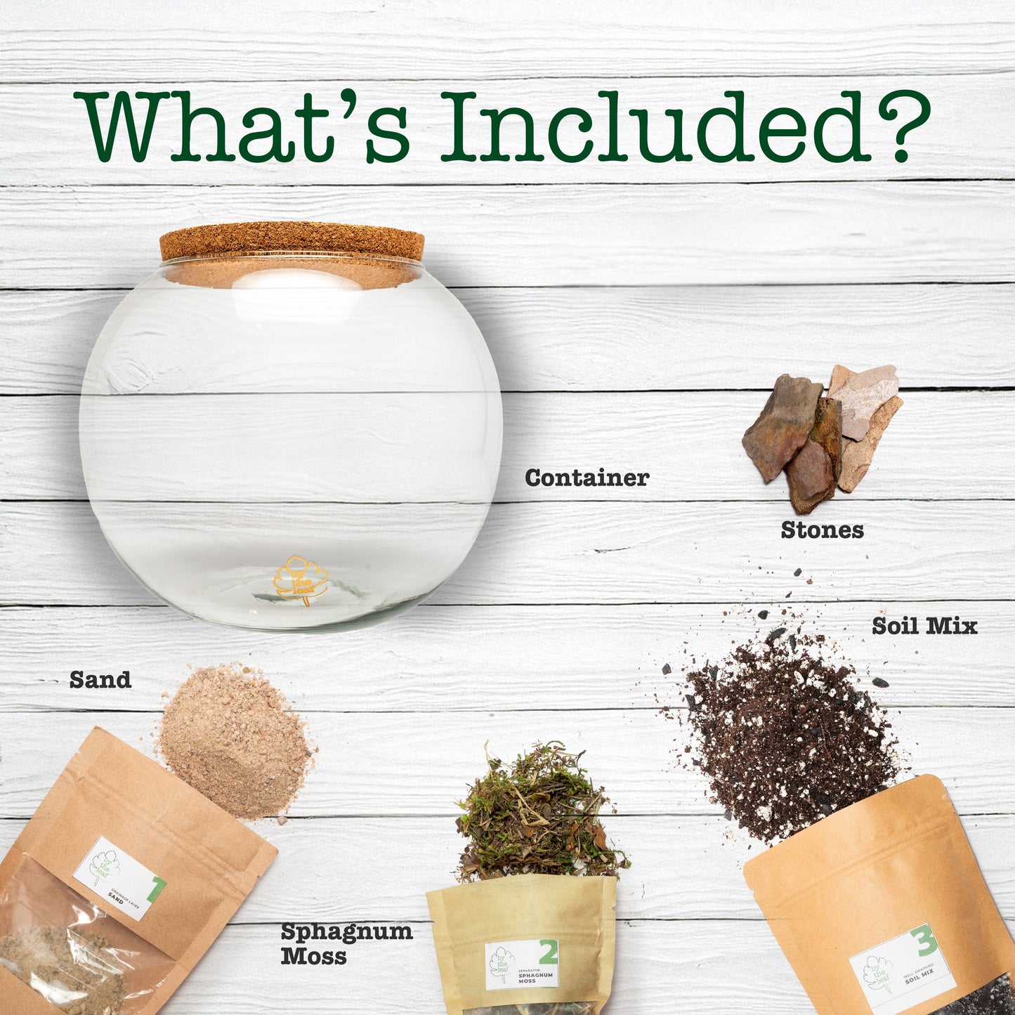 DIY Terrarium Kit Without Plants