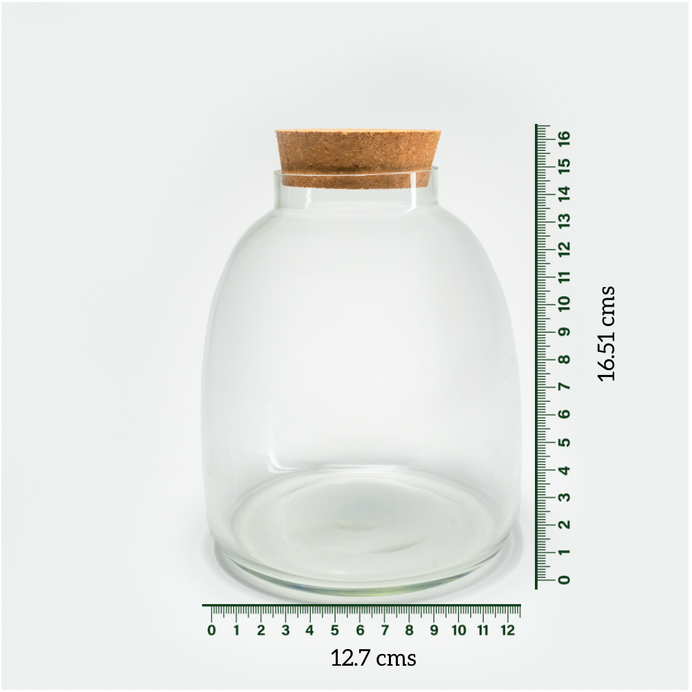 Terrarium Container