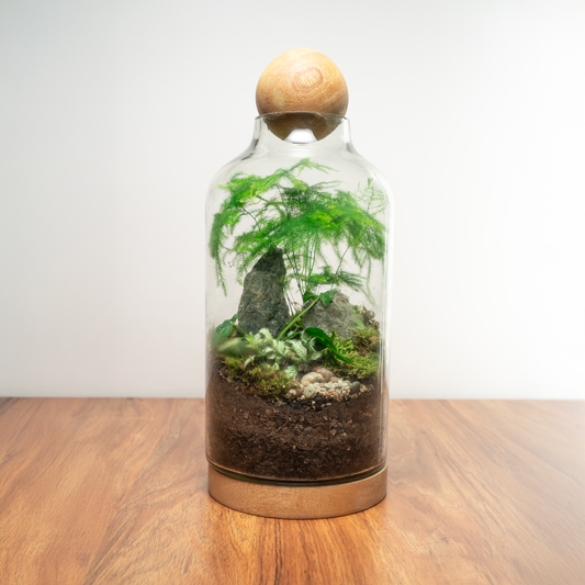 By The Tree Terrarium