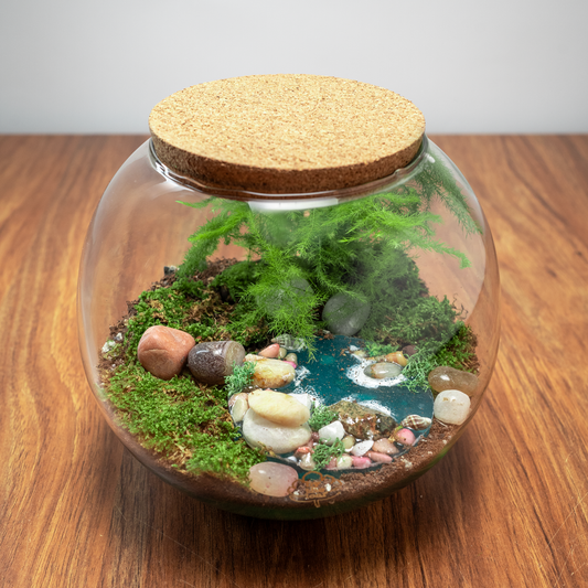 DIY Terrarium Kit 5.0