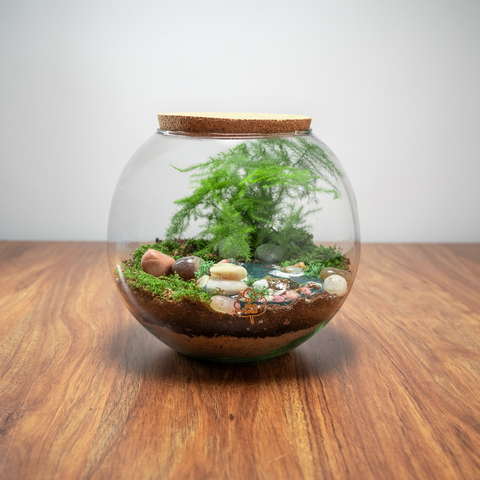 DIY Terrarium Kit 5.0