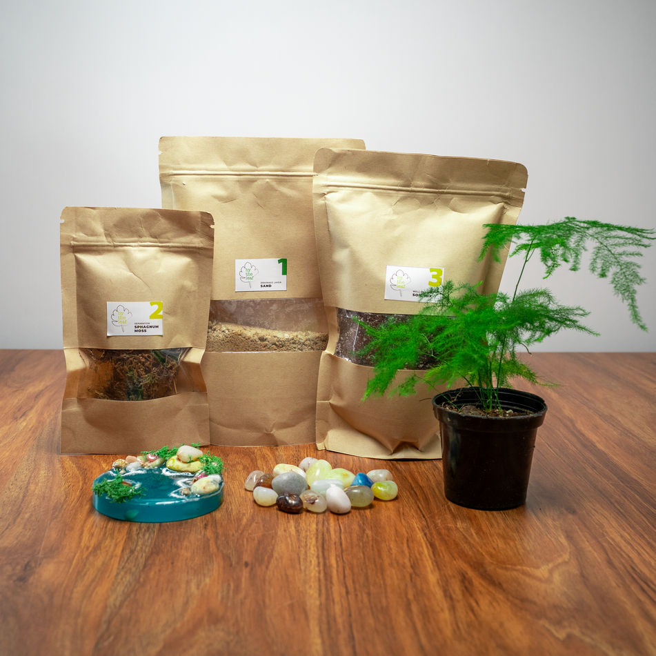DIY Terrarium Kit 5.0