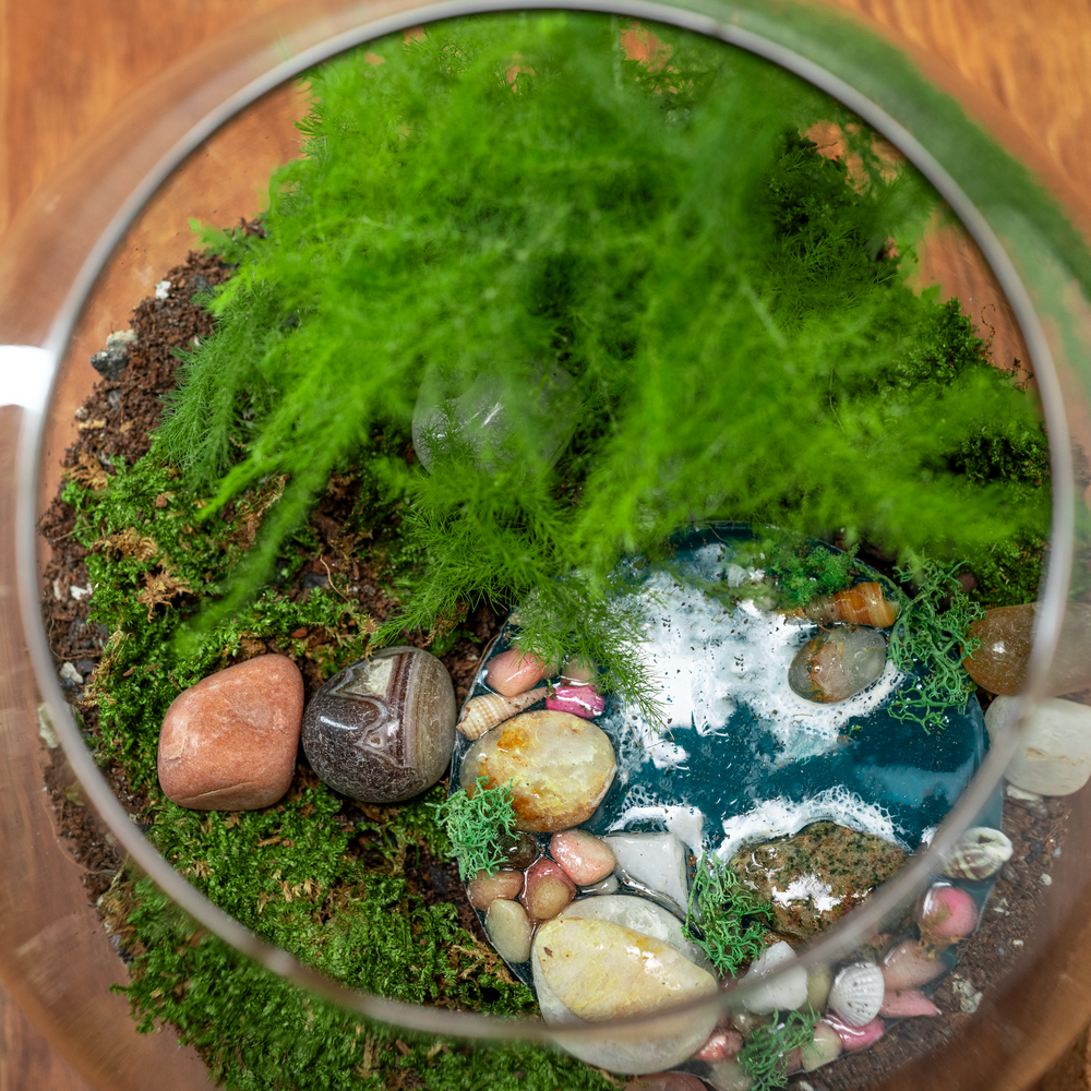 DIY Terrarium Kit 5.0