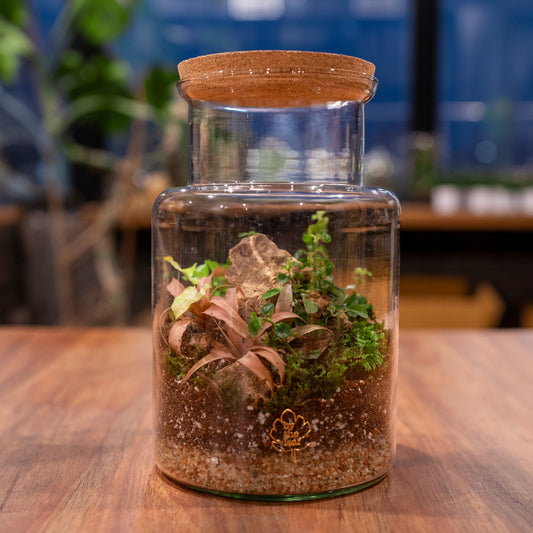 DIY Terrarium Kit 4.0