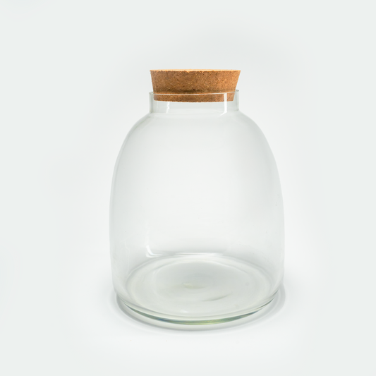 Terrarium Container