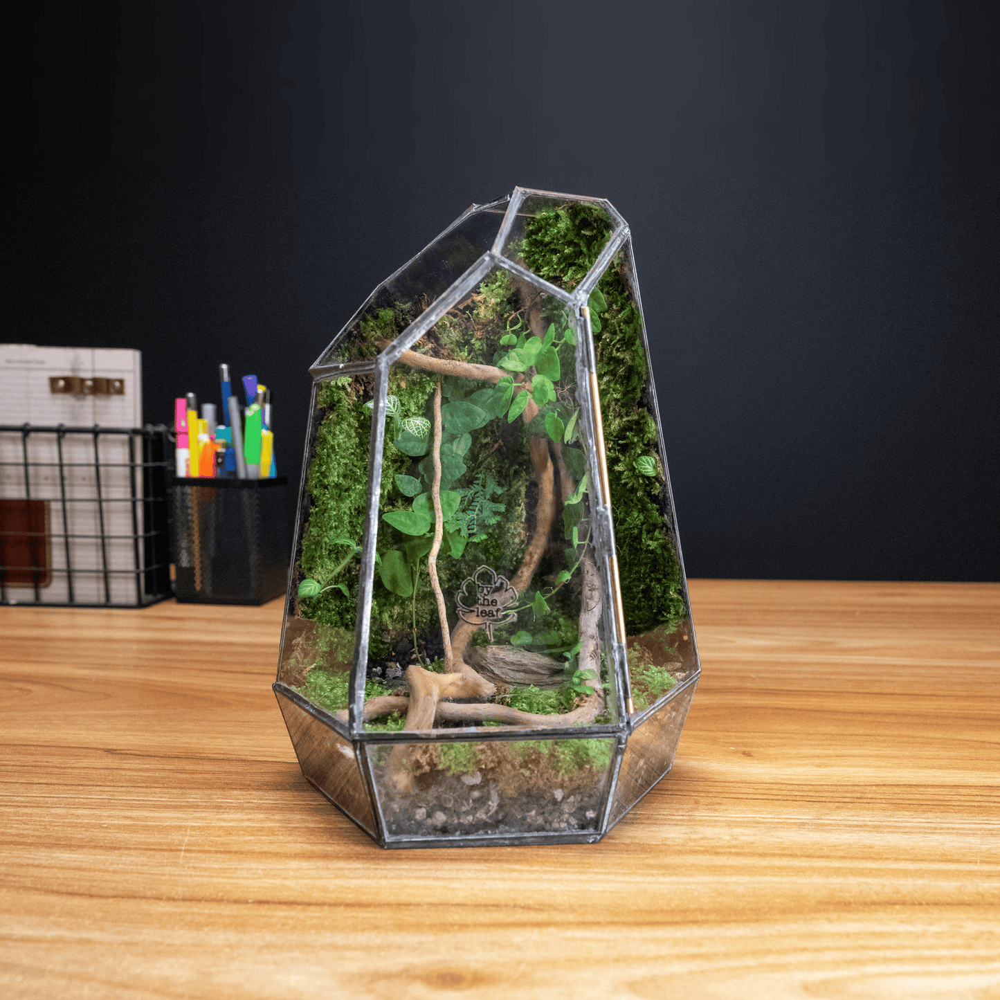 Geometric Moss Wall Terrarium