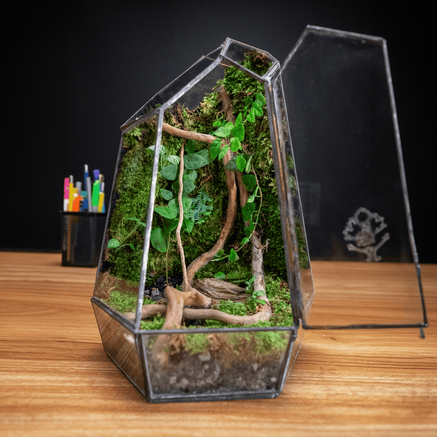 Geometric Moss Wall Terrarium