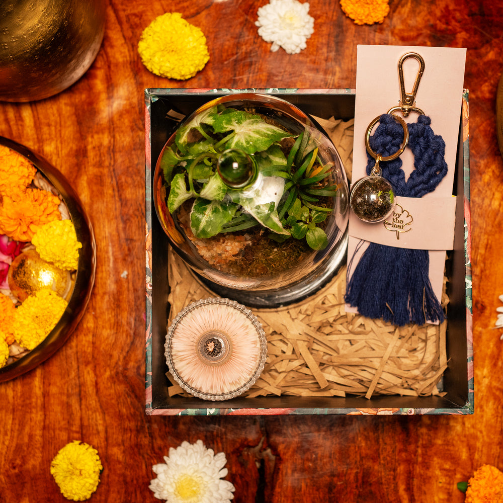 sustainable gift ideas for Diwali