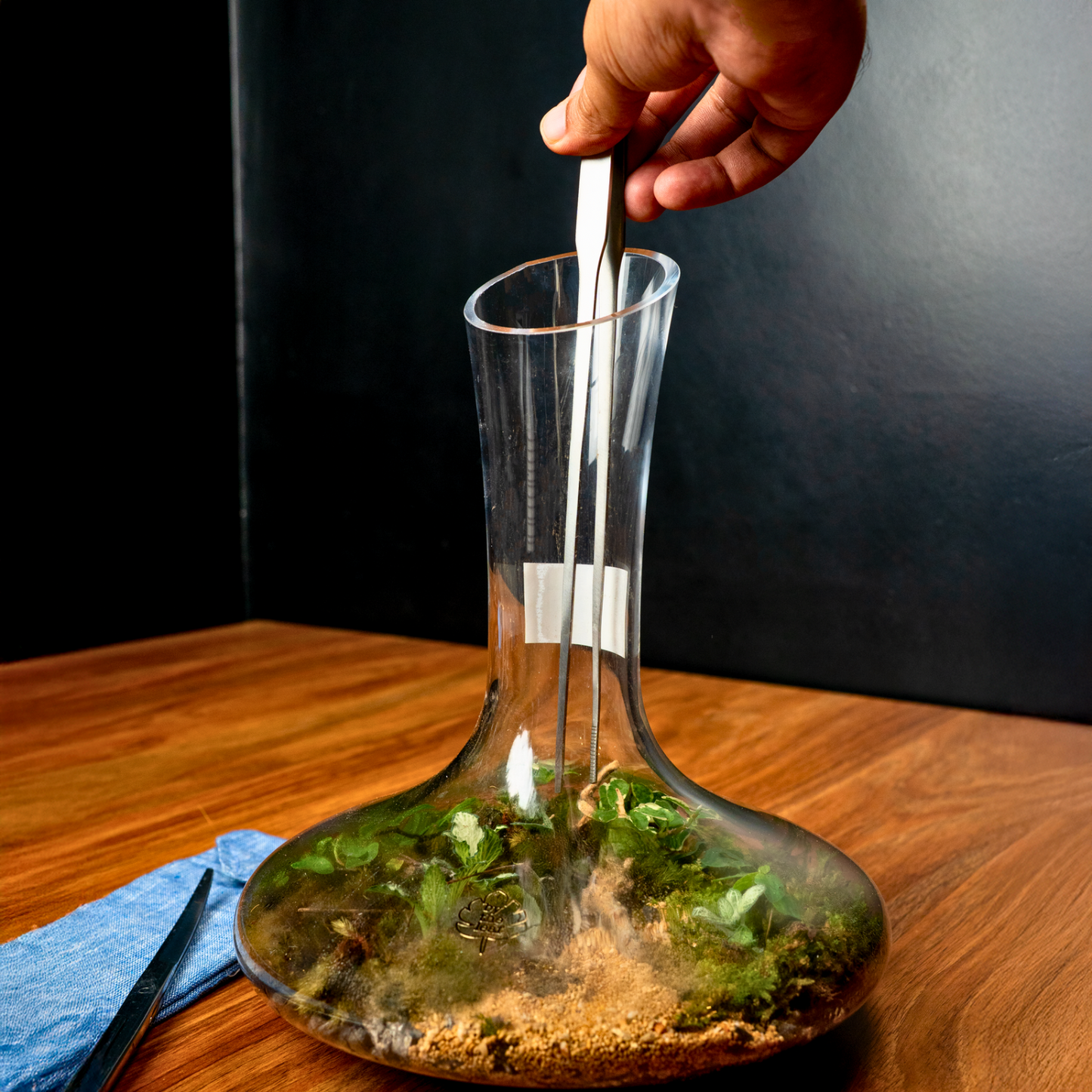 Toolkit- Terrarium Making & Maintenance