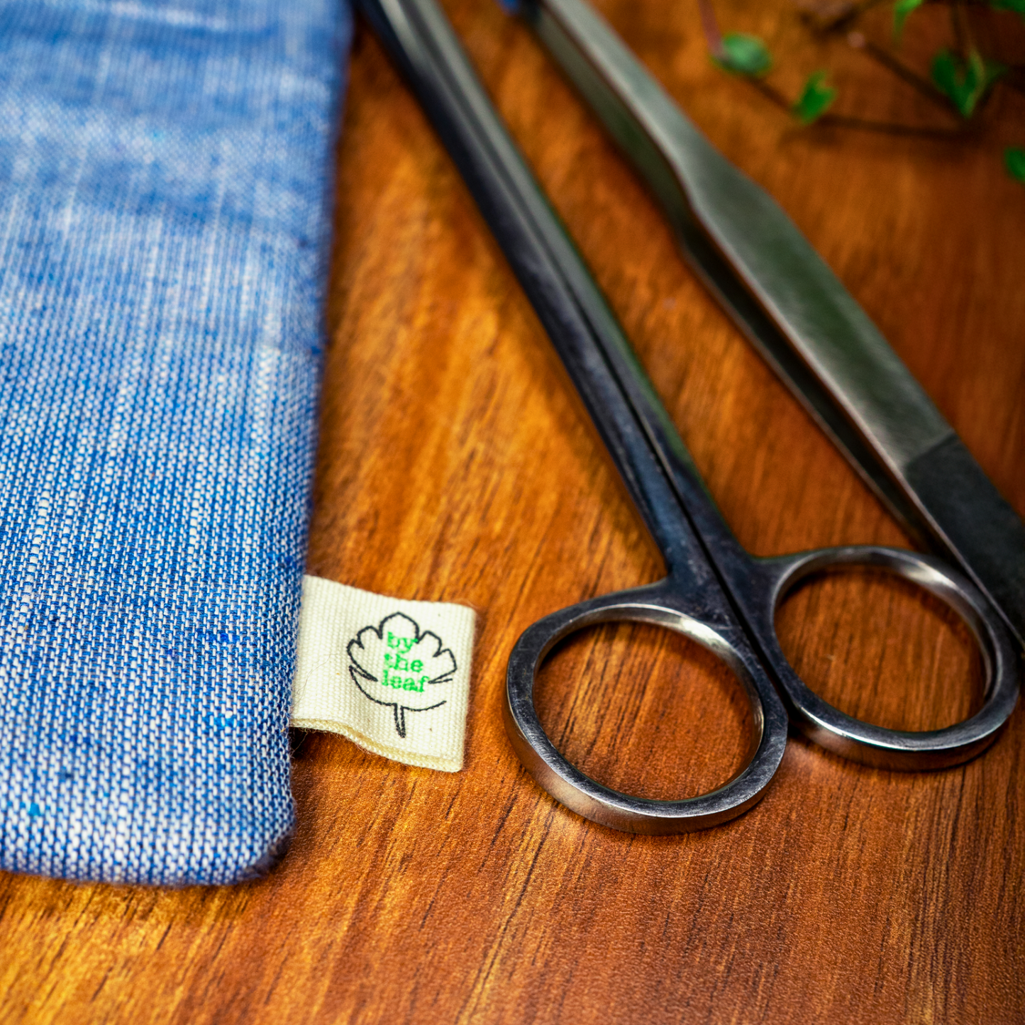 Toolkit- Terrarium Making & Maintenance