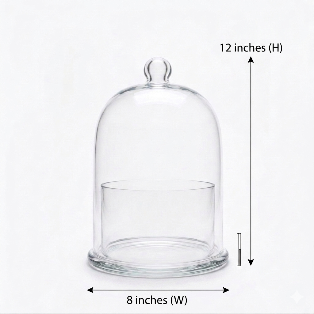 Terrarium Container- Cloche Large