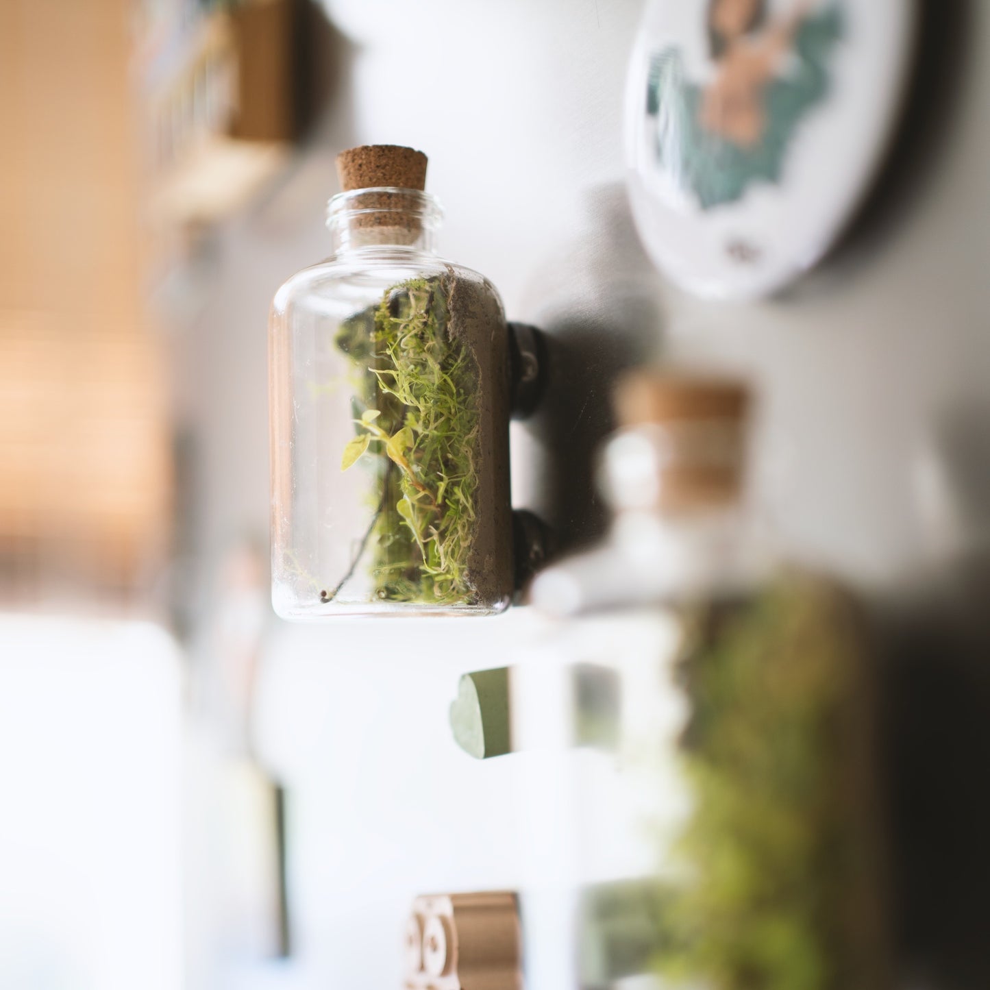 Terrarium Fridge Magnets