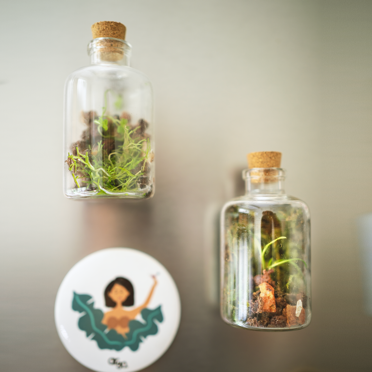 Terrarium Fridge Magnets