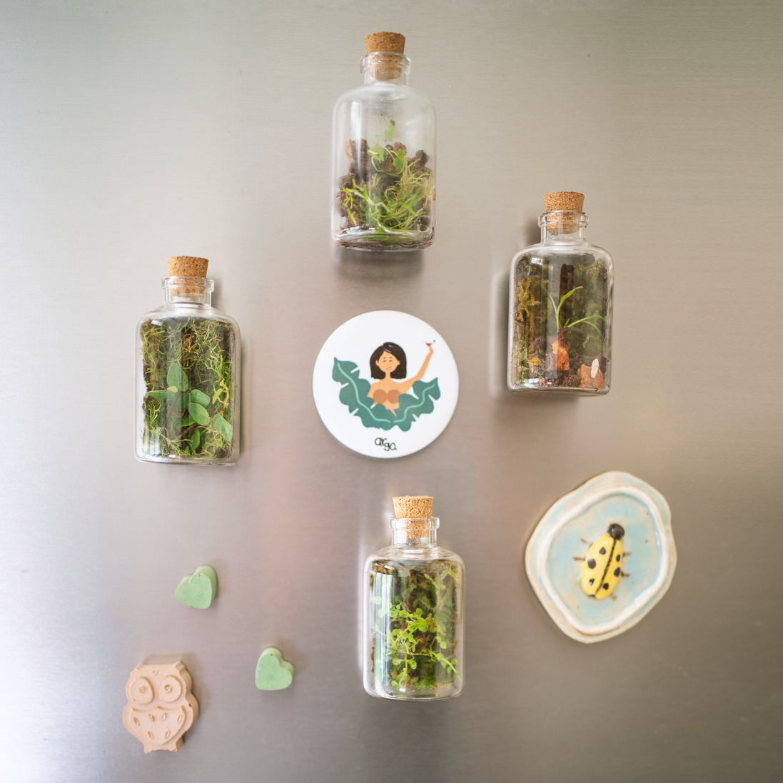 Terrarium Fridge Magnets